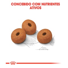 Ração Royal Canin Maxi Light para Cães Adultos ou Idosos de Porte Grande com Tendência à Obesidade 10,1kg
