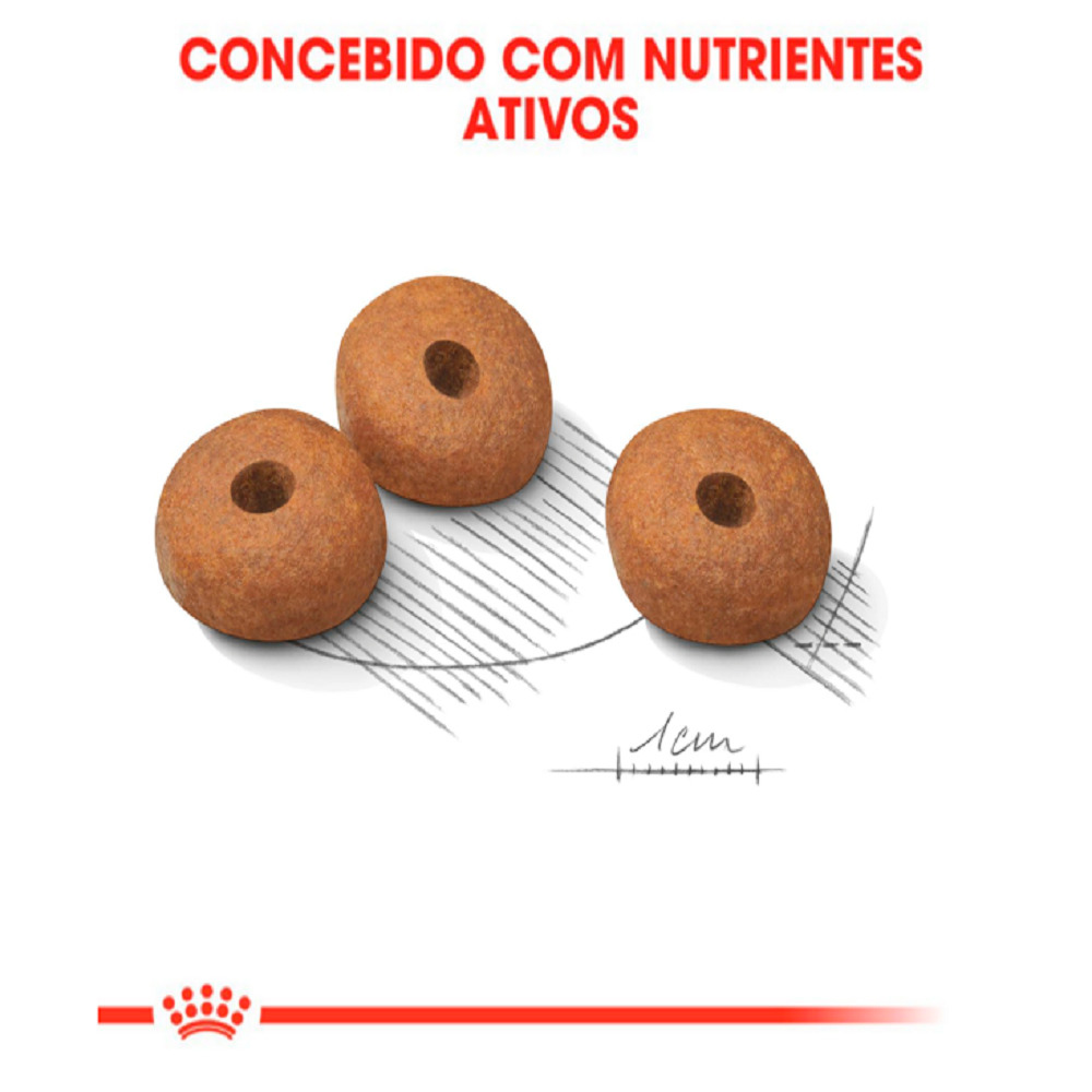 Ração Royal Canin Medium Light para Cães Adultos ou Idosos de Porte Médio com Tendência à Obesidade