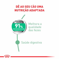 Ração Royal Canin Cuidado Digestivo para Cães Adultos de Porte Médio a Partir de 12 Meses de Idade 10,1 kg