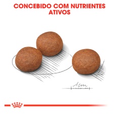 Ração Royal Canin Cuidado Digestivo para Cães Adultos de Porte Médio a Partir de 12 Meses de Idade 10,1 kg