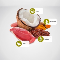 Ração N&D Quinoa Pele e Pelo para Cães Adultos de Porte Mini e Pequeno Sabor Pato, Quinoa, Coco e Cúrcuma
