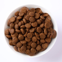Ração N&D Quinoa Pele e Pelo para Cães Adultos de Porte Mini e Pequeno Sabor Pato, Quinoa, Coco e Cúrcuma