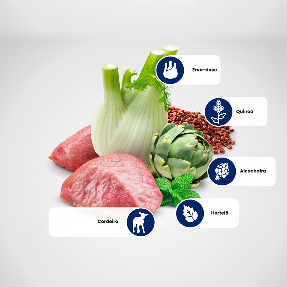 Ração N&D Quinoa Cuidado Digestivo para Cães Adultos de Porte Mini e Pequeno Sabor Cordeiro, Quinoa, Erva-Doce, Hortelã e Alcachofra