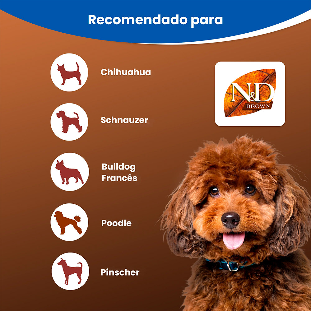 Ração Farmina N&D Brown para Cães Adultos de Porte Mini Sabor Cordeiro, Spirulina e Cenoura 2 kg