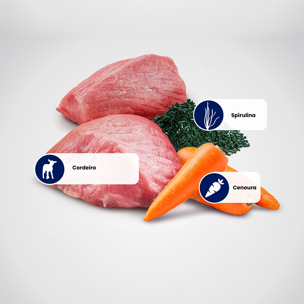 Ração Farmina N&D Brown para Cães Adultos de Porte Mini Sabor Cordeiro, Spirulina e Cenoura 2 kg