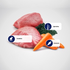 Ração Farmina N&D Brown para Cães Adultos de Porte Mini Sabor Cordeiro, Spirulina e Cenoura 2 kg