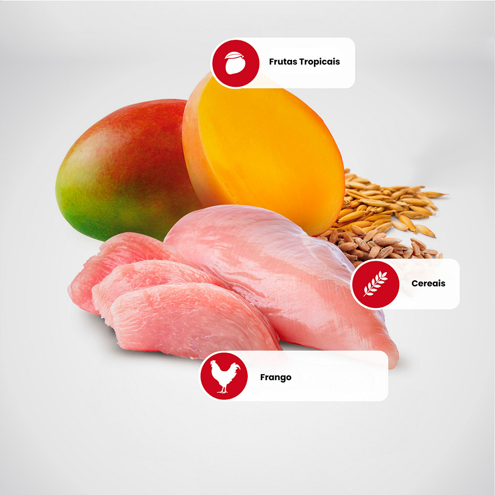 Ração Farmina N&D Tropical Selection para Cães Adultos de Porte Mini e Pequeno Sabor Frango, Cereais e Frutas Tropicais