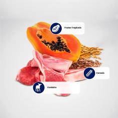 Ração Farmina N&D Tropical Selection para Cães Adultos de Porte Mini e Pequeno Sabor Cordeiro, Cereais e Frutas Tropicais 2 kg