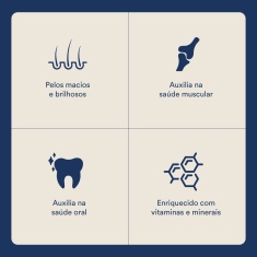 Ração Selections For Pet para Cães Filhotes Mini/Pequenos Sabor Frango 3 kg