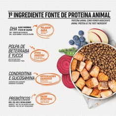 Ração Select by Monello Digestão Equilibrada para Cães Adultos de Porte Mini e Pequeno Sabor Salmão, Ervilha e Blueberry
