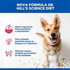 Ração Hill's Science Diet para Cães Adultos Sabor Frango 6,8 kg