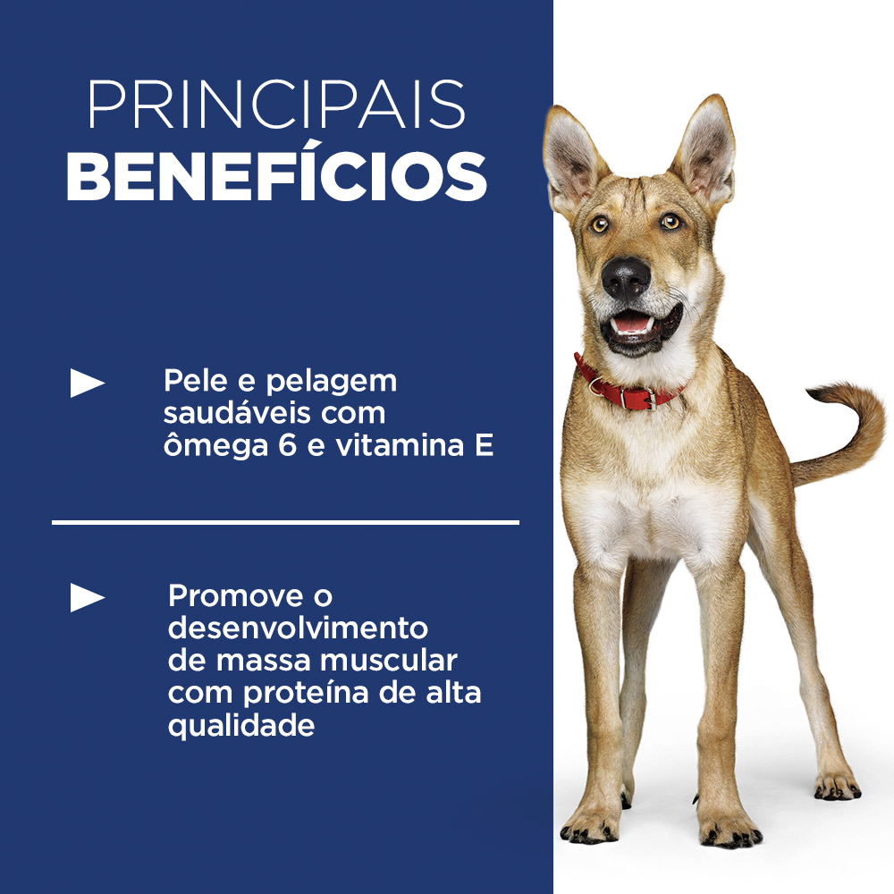 Ração Hill's Science Diet para Cães Adultos Sabor Frango