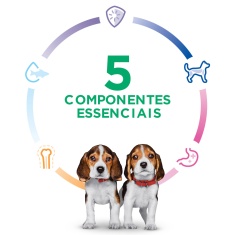 Ração Hill's Science Diet Pedaços Pequenos para Cães Filhotes Sabor Frango 5.67 kg