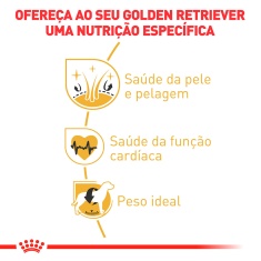 Ração Royal Canin para Cães Adultos da Raça Golden Retriever - 10,1kg