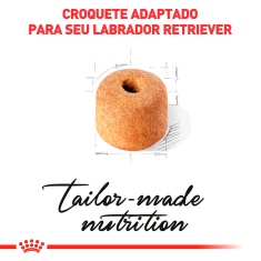 Ração Royal Canin para Cães Adultos da Raça Labrador Retriever 10,1 kg