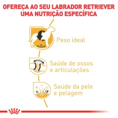 Ração Royal Canin para Cães Adultos da Raça Labrador Retriever 10,1 kg