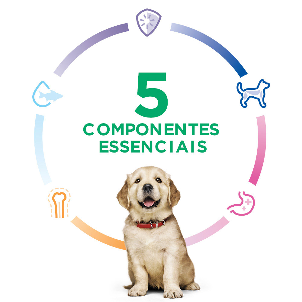 Ração Hill's Science Diet Raças Grandes Sabor Frango para Cães Filhotes 7.03kg