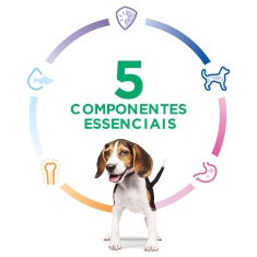 Ração Hill's Science Diet para Cães Filhotes Sabor Frango 12.5 kg