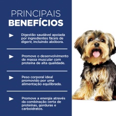 Ração Hill's Science Diet Pequenos e Mini para Cães Adultos Sabor Frango
