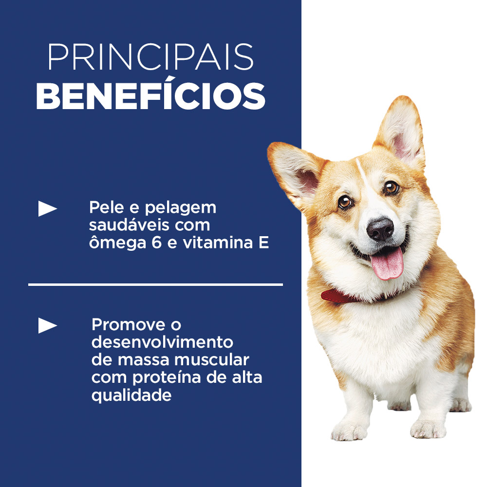 Ração Hill's Science Diet Pedaços Pequenos para Cães Adultos Sabor Frango