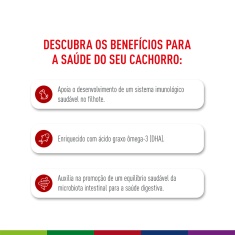 Ração Seca Royal Canin Medium Puppy para Cães Filhotes de Porte Médio