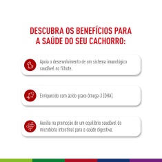 Ração Seca Royal Canin Medium Puppy para Cães Filhotes de Porte Médio