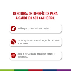 Ração Seca Royal Canin Medium Ageing 10 + para Cães Idosos de Porte Médio com 10 Anos ou mais 12 Kg