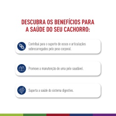 Ração Seca Royal Canin Maxi Adult para Cães Adultos de Porte Grande 12 Kg