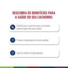 Ração Seca Royal Canin Maxi Adult 5+ para Cães Adultos de Porte Grande com 5 Anos ou mais 12 Kg