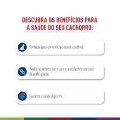 Ração Seca Royal Canin Maxi Ageing 8+ para Cães Idosos de Porte Grande com 8 Anos ou mais 12 Kg