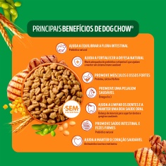 Ração Dog Chow Nutrição Reforçada para Cães Adultos de Porte Mini e Pequeno Sabor Carne e Frango