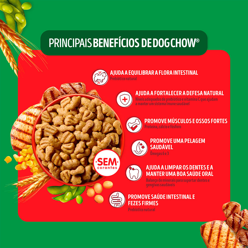 Ração Dog Chow Nutrição Reforçada para Cães Adultos de Médio e Grande Porte Sabor Carne, Frango e Arroz 900 g