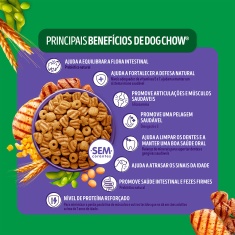 Ração Dog Chow Nutrição Reforçada para Cães Sêniors Sabor Carne, Frango e Arroz