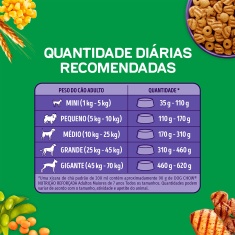 Ração Dog Chow Nutrição Reforçada para Cães Sêniors Sabor Carne, Frango e Arroz