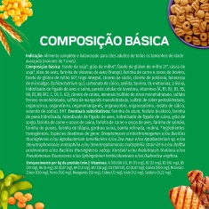 Ração Dog Chow Nutrição Reforçada para Cães Sêniors Sabor Carne, Frango e Arroz