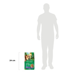 Ração Dog Chow Nutrição Reforçada para Cães Sêniors Sabor Carne, Frango e Arroz