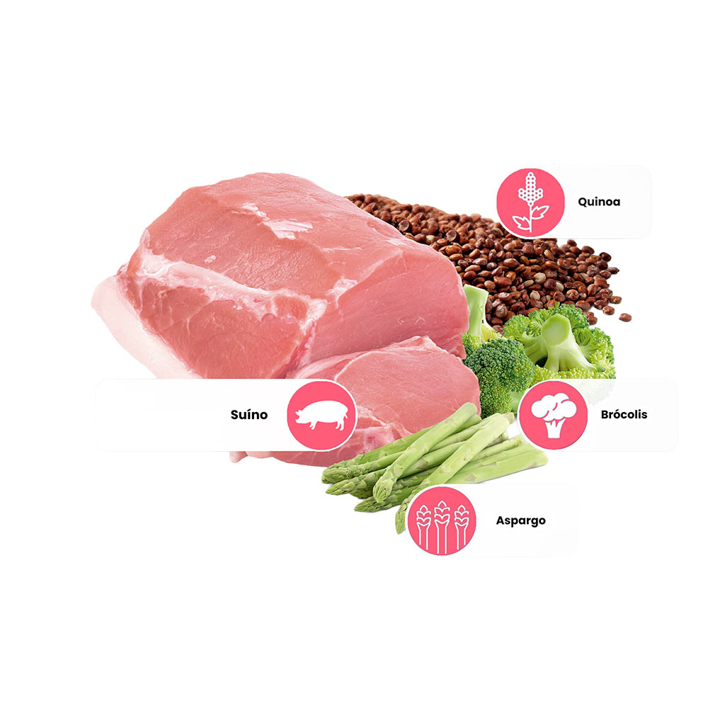 Ração Farmina N&D Quinoa Controle de Peso para Cães Adultos de Raças Mini e Pequenas Sabor Suíno, Quinoa, Brócolis e Aspargo 7 kg