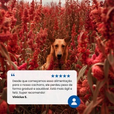 Ração Farmina N&D Quinoa Controle de Peso para Cães Adultos de Raças Mini e Pequenas Sabor Suíno, Quinoa, Brócolis e Aspargo 7 kg