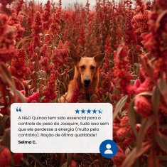 Ração Farmina N&D Quinoa Controle de Peso para Cães Adultos de Raças Mini e Pequenas Sabor Suíno, Quinoa, Brócolis e Aspargo 7 kg