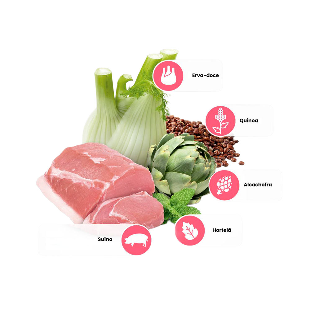 Ração Farmina N&D Quinoa Cuidado Digestivo para Cães Adultos de Raças Médias e Grandes Sabor Carne Suína, Quinoa, Erva-Doce, Hortelã e Alcachofra 10,1kg