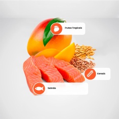 Ração Farmina N&D Tropical Selection para Cães Adultos de Porte Médio e Grande Sabor Salmão, Cereais e Frutas Tropicais