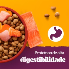 Ração Pedigree Barriguinha Saudável para Cães Adultos de Raças Pequenas e Minis Sabor Salmão