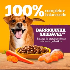 Ração Pedigree Barriguinha Saudável para Cães Adultos de Raças Pequenas e Minis Sabor Salmão