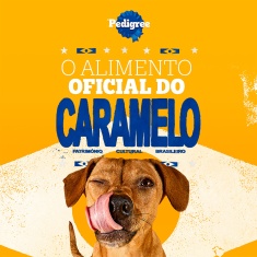 Ração Pedigree Barriguinha Saudável para Cães Adultos de Raças Pequenas e Minis Sabor Salmão