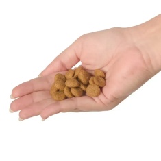 Ração Joy High Premium para Cães Adultos de Raças Médias e Grandes Sabor Frango e Carne