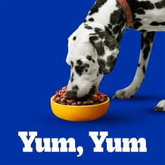 Ração Pedigree Carne e Vegetais Cães Adultos Raças Médias e Grandes