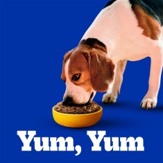 Ração Pedigree Carne e Vegetais Cães Adultos Raças Pequenas e Minis 7 kg