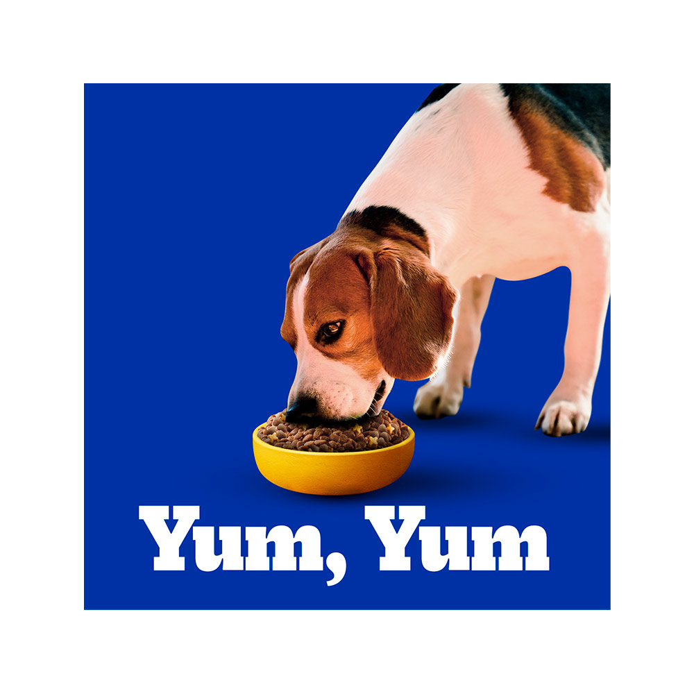 Ração Pedigree Carne e Vegetais Cães Adultos Raças Pequenas e Minis