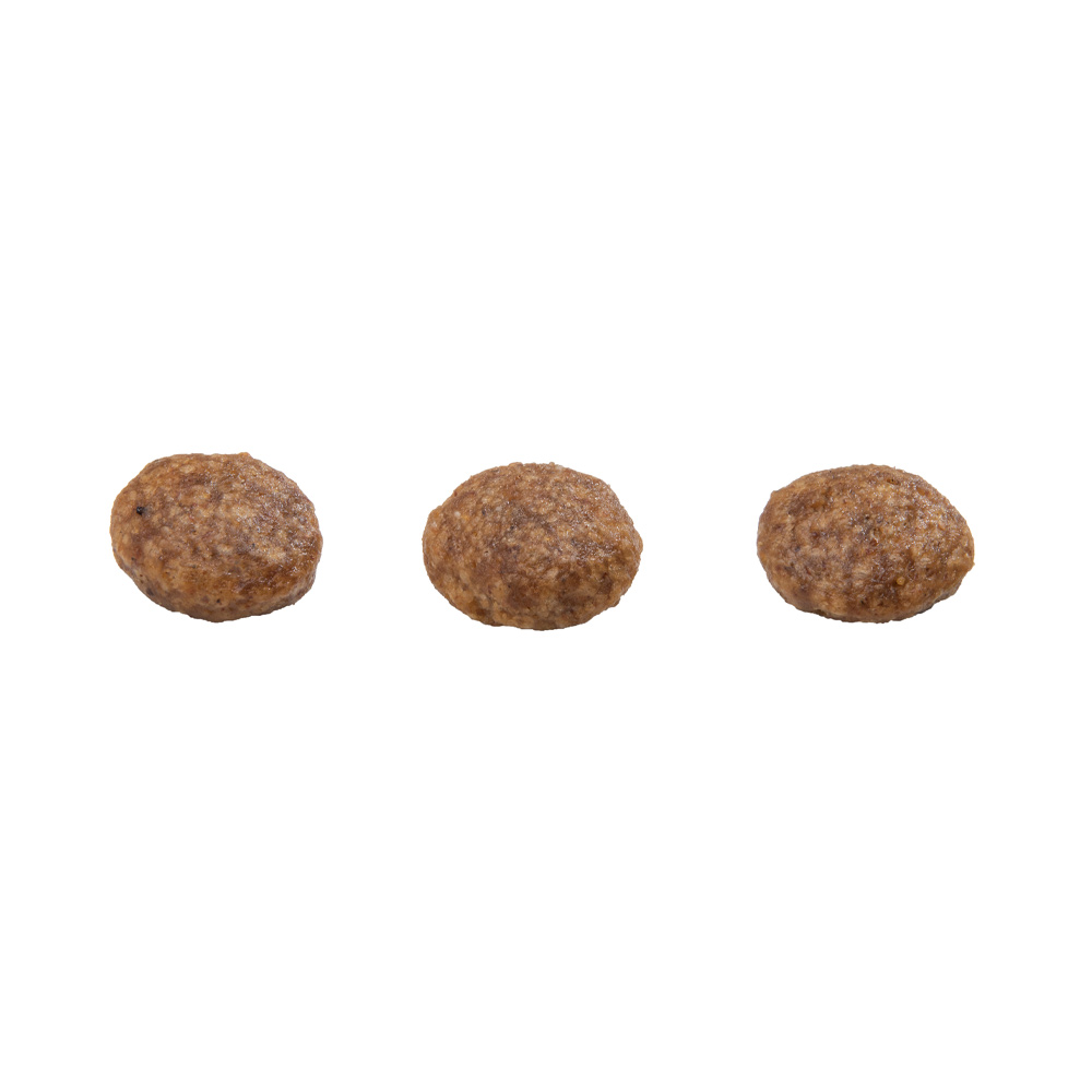 Ração GranPlus Menu para Cães Adultos de Porte Mini Sabor Frango e Arroz