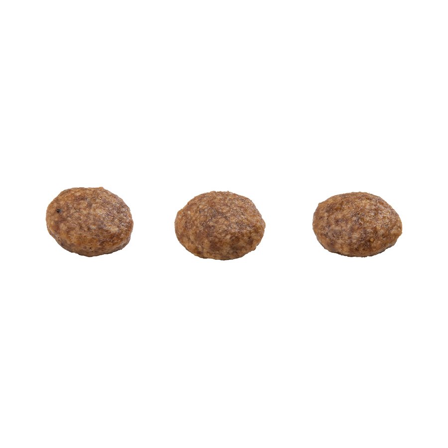 Ração GranPlus Menu para Cães Adultos de Porte Mini Sabor Frango e Arroz
